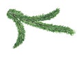 Green spruce branch, new year tree. Watercolor illustration for greeting cards and invitations isolated on white Royalty Free Stock Photo