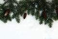 Green spruce branches with cones lie on the snow