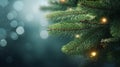 Green spruce branches with garland lights on a blurred blue evening background