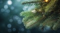 Green spruce branches with garland lights on a blurred blue evening background