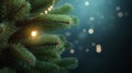 Green spruce branches with garland lights on a blurred blue evening background