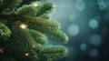 Green spruce branches with garland lights on a blurred blue evening background