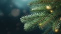 Green spruce branches with garland lights on a blurred blue evening background
