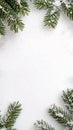 Green spruce branches lightly dusted with snow create a corner border on a pure white snow texture background with ample copy Royalty Free Stock Photo