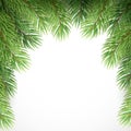 Green spruce branches like Christmas frame. Vector