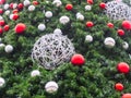 Green spruce branches with many red and silver balls and two large wicker balls entwined with garlands Royalty Free Stock Photo