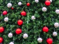 Green spruce branches with matte red and silver mirror balls. Background texture Royalty Free Stock Photo