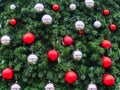 Green spruce branches with red matte and silver mirror balls and small blue lights from a garland Royalty Free Stock Photo