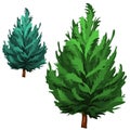 Green spruce in cartoon style on white background