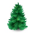Green spruce, pine or fir. Christmas tree. Paper cut, art illustration for New year, ecology projects.