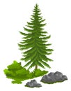 Green spruce tree in flat design. Evergreen conifer tree conical shape. Pine tree christmas symbol