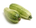 Green squash zucchini Royalty Free Stock Photo