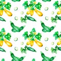 Green squashes, slices watercolor illustration seamless pattern