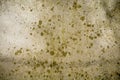 Green stains on a grey wall with marble Royalty Free Stock Photo