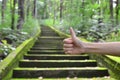 Green staircase to success