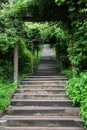 Green Stairway