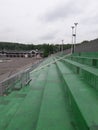 Green stands near the lake coast