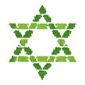 Green Star of David Abstract Geometric Pattern On White Background Royalty Free Stock Photo