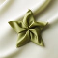 Luxurious Drapery: A Delicate Green Star Made Of Cloth