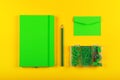 Green stationery flat lay over yellow Royalty Free Stock Photo