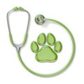 Green stethoscope and paw 3D