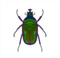 Green stink bug Royalty Free Stock Photo