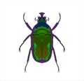 Green stink bug