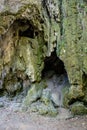 Green stone cave, dry water spring covered by moss Royalty Free Stock Photo