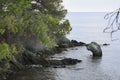 Green stone looks out of Aegean Sea (head of dinosaur).