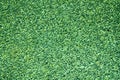 Green Stone texture floor. Rought grey rock background