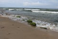 Green stones on the beach, Baltic Sea, Hel, Poland