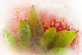 Green strawberry leaves frozen inside transparent icecube macro cool wallpaper