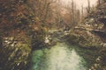 Green stream water and mossy on rocks in forest Royalty Free Stock Photo
