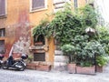 Green street corner in Rome