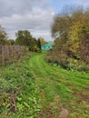 A green street in a very small forest Russian village.