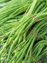 Green string beans tied with rubber bands Royalty Free Stock Photo