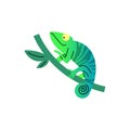 Green striped chameleon vector illustration