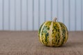 Green striped pumpkin on white wooden backgraund