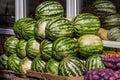 Green striped ripe large watermelons and yellow melons and red potatoes in blue nets Royalty Free Stock Photo