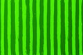 Green Striped Watermelon Texture with hand drawn brush strokes.