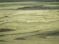 Green stripes of algae bloom on water surface of pond Royalty Free Stock Photo