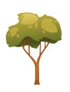 Green stylized tree vector illustration isolated on white background Royalty Free Stock Photo