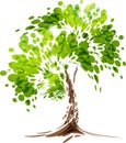 Green stylized vector tree