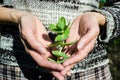 Green succulent in elegant female hands.