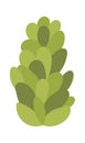 Green succulent flat icon Houseplant decor element
