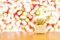 Green Succulent Plants in Square White Ceramic Planter on wood table with blurred colourful sparking lights as background