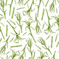 Green sugar cane on a white background seamless pattern. Vector background. Royalty Free Stock Photo