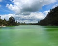 Green sulphur lake Rotorua Royalty Free Stock Photo
