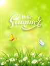 Green Summer background with grass and Sun Royalty Free Stock Photo