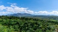 Green summer ferns and the Glencar valley on the Dingle Peninsula of County Kerry Royalty Free Stock Photo